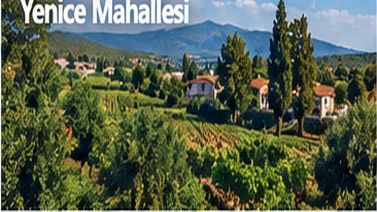 Yenice Mahallesi Urla hizmet bölgesi görseli